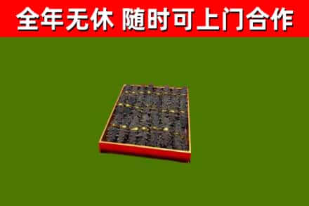 泰兴回收海参